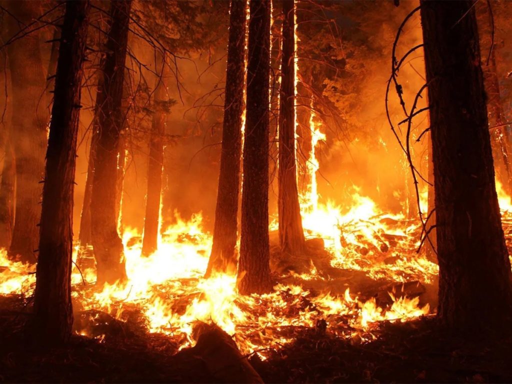 Climate Change on Wildfires